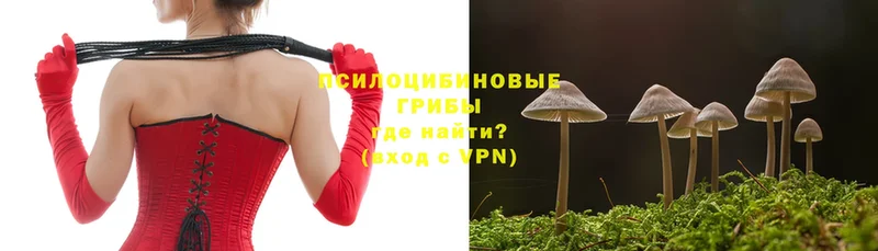 Галлюциногенные грибы Psilocybine cubensis  Павловский Посад 